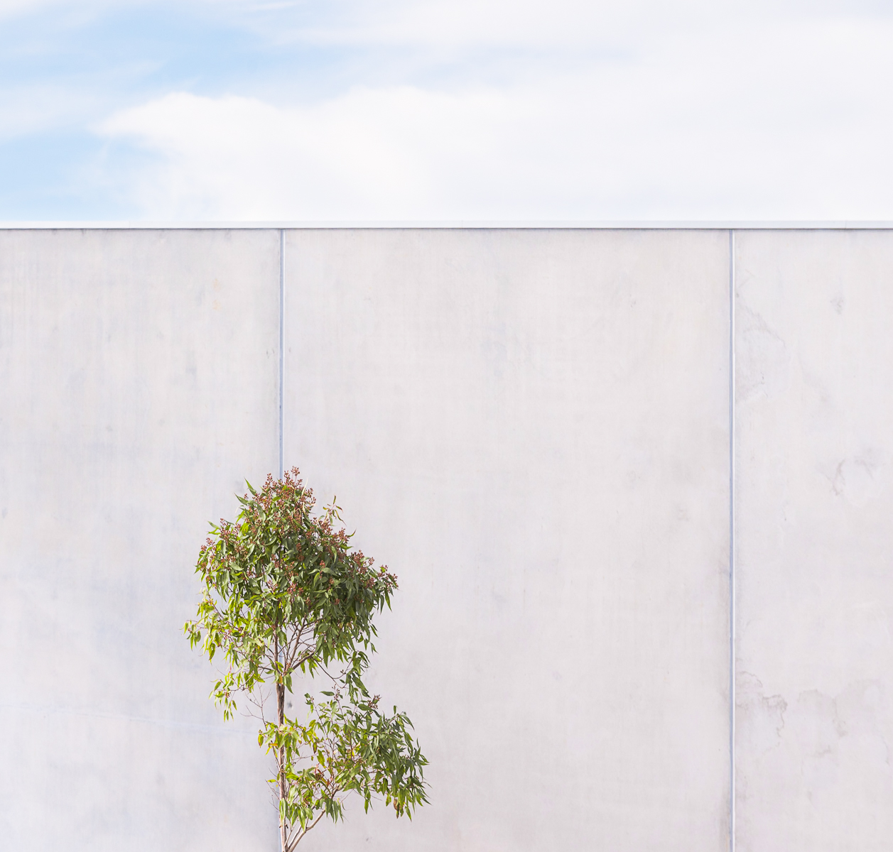 Behind the Wall