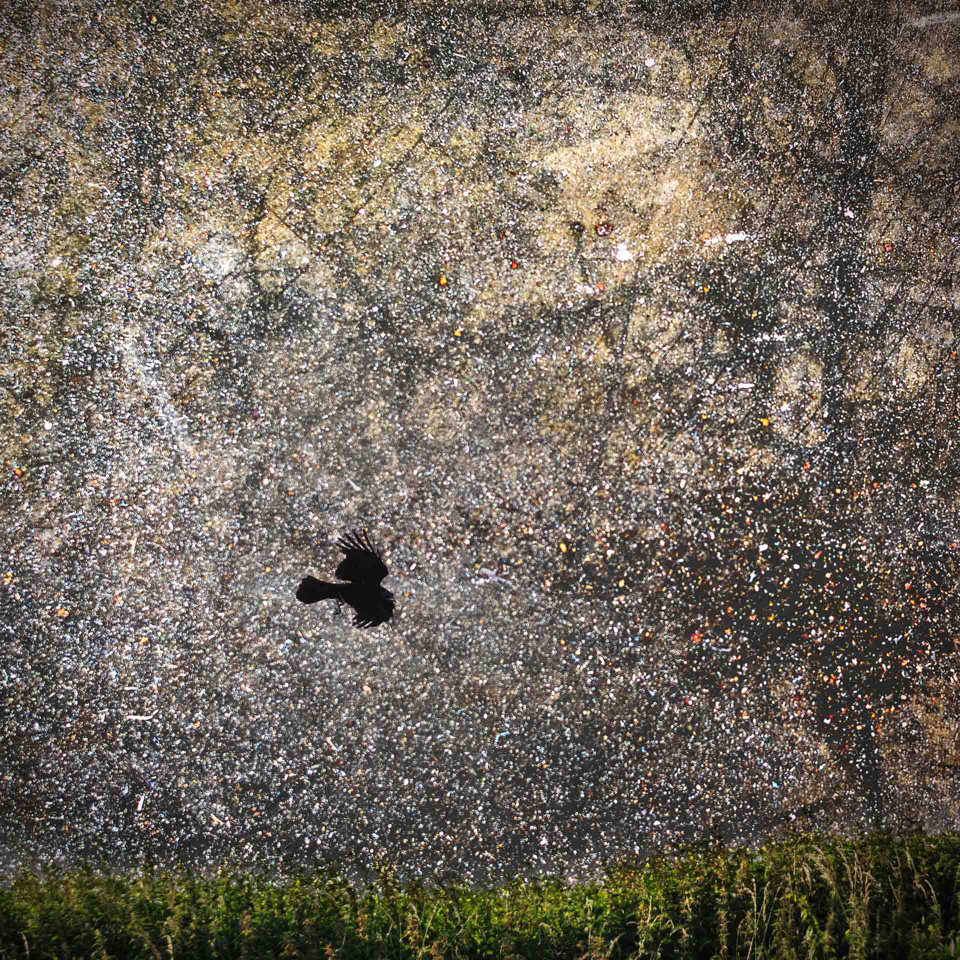 In Flight