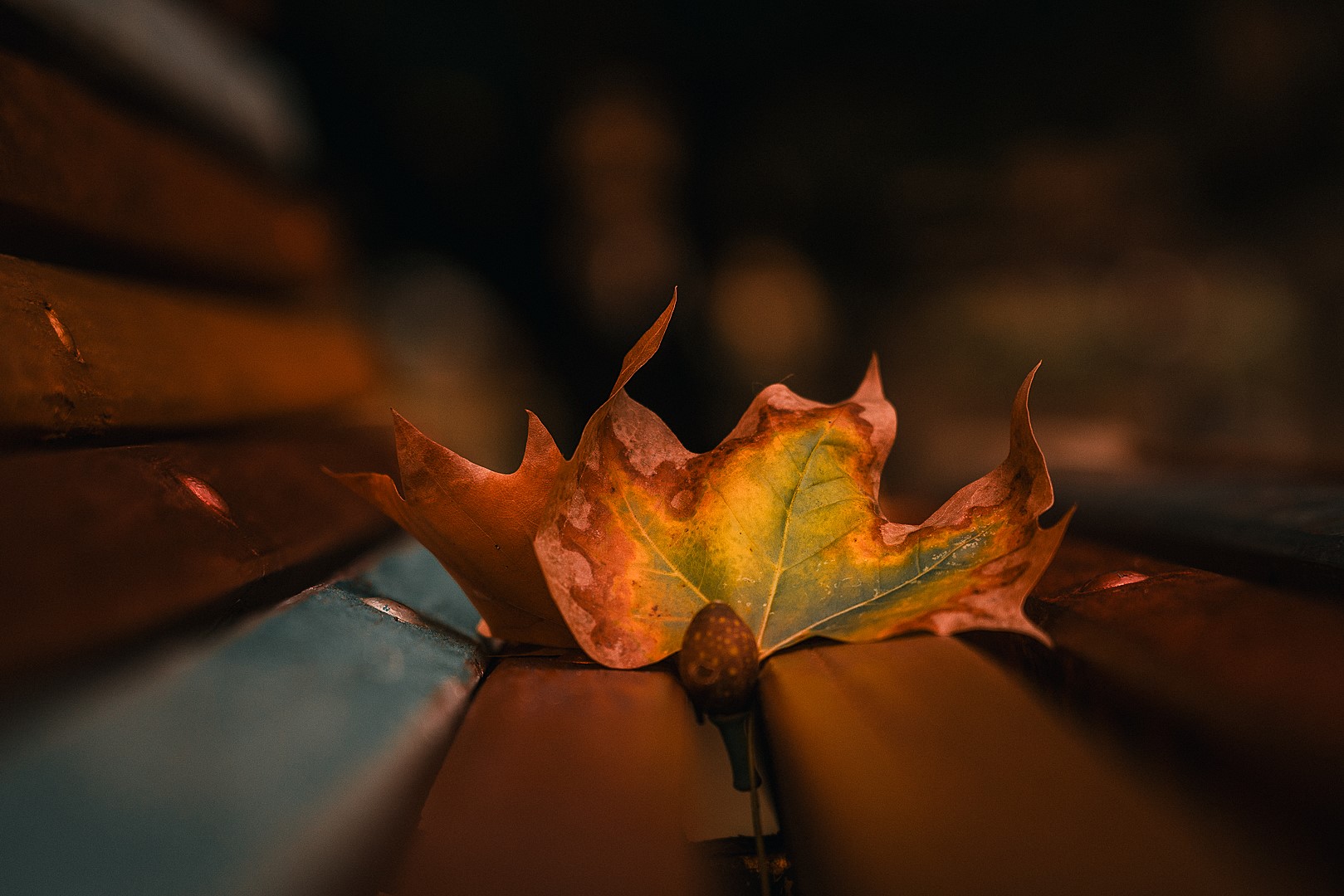 An Autumns Mortality, a Winters Wrath