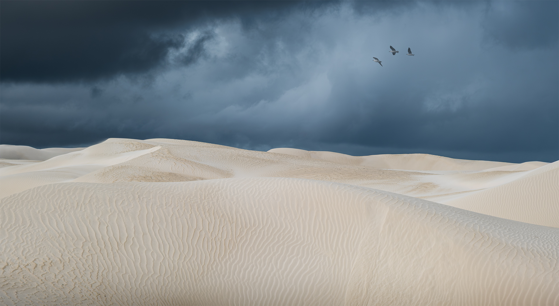 Before the Storm