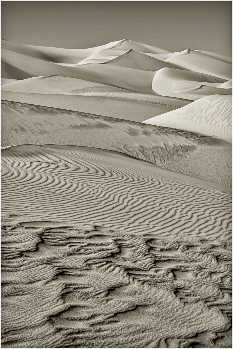 Arabian Dunes