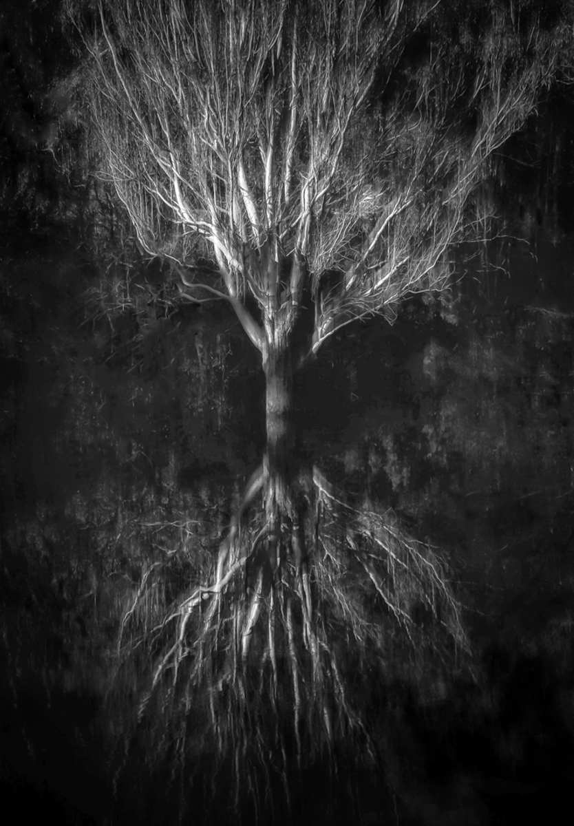 Ennobling the Winter Solstice