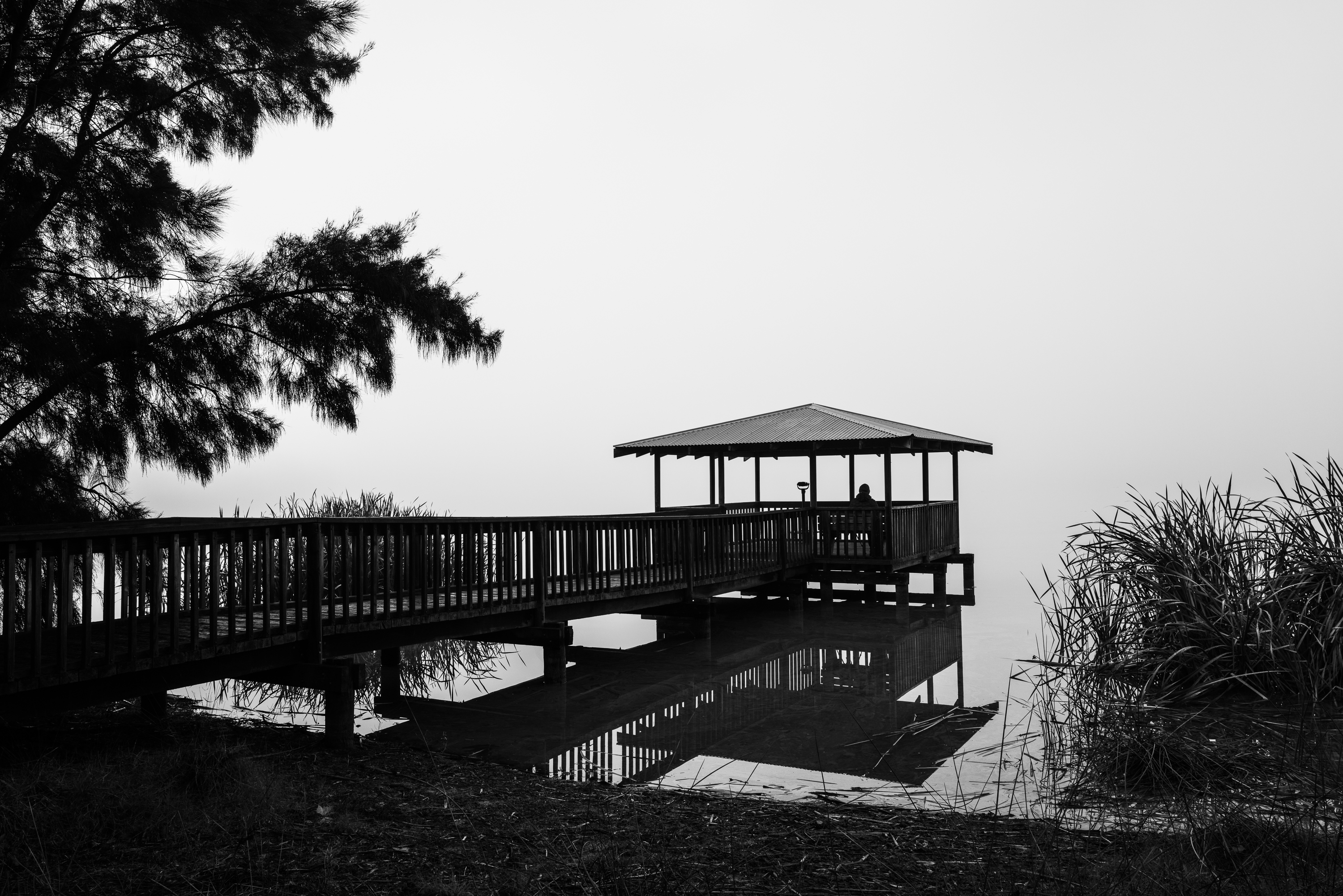 Misty Lake