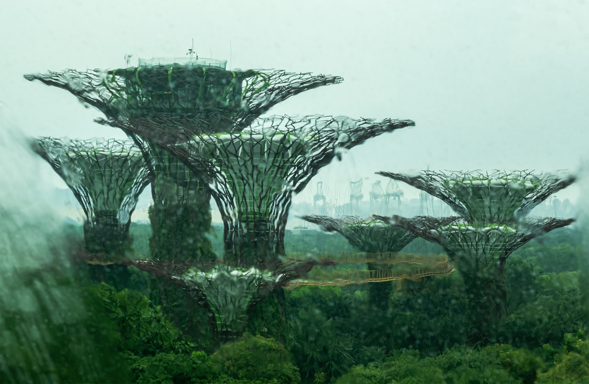Rain in Singapore