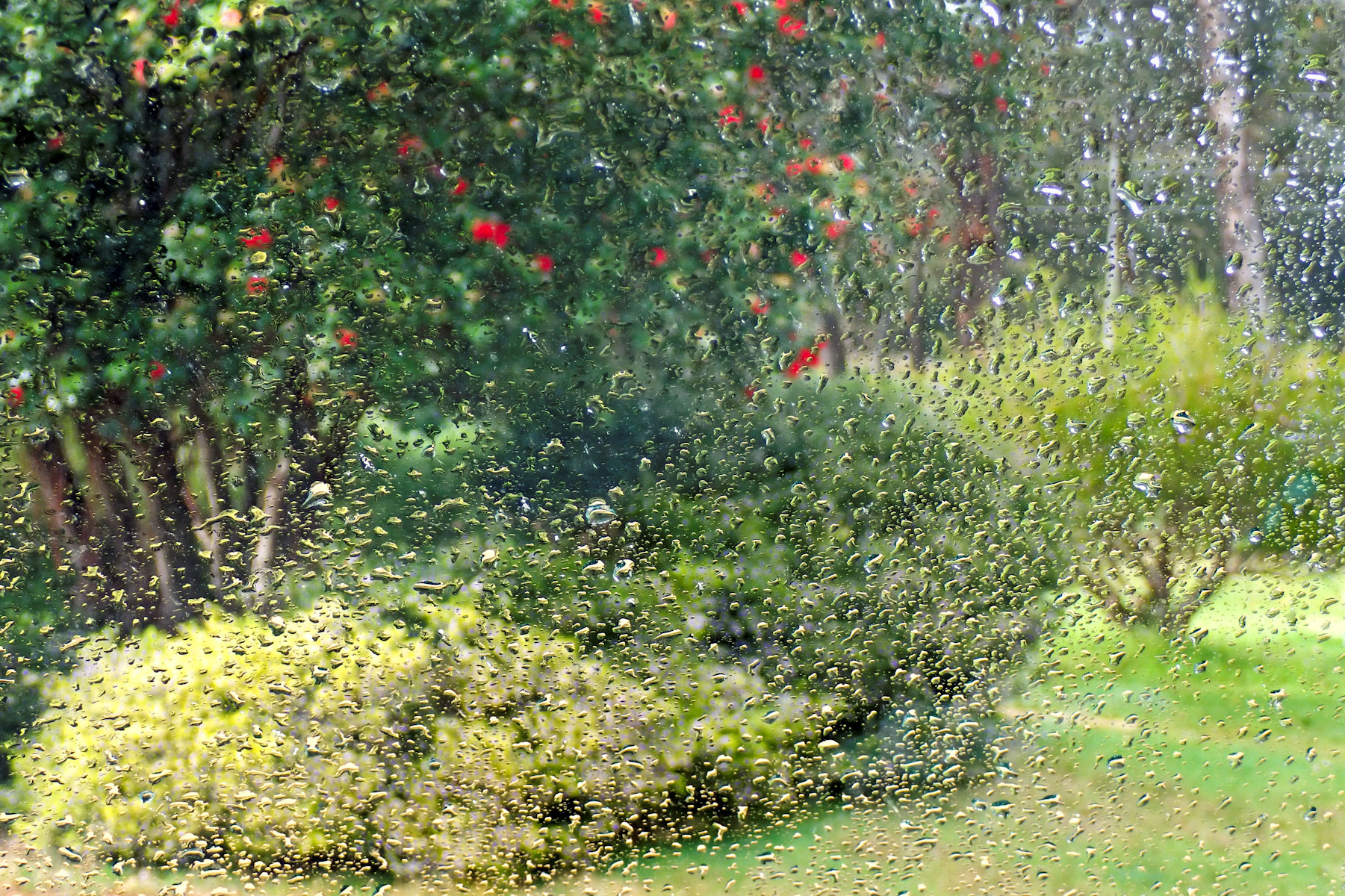 Raindrops