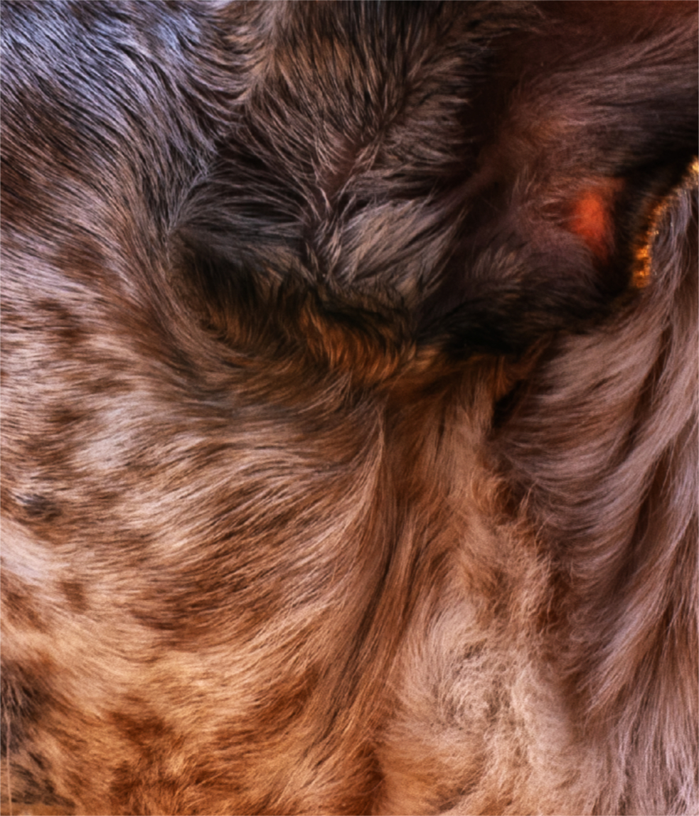 Softness in the Wild