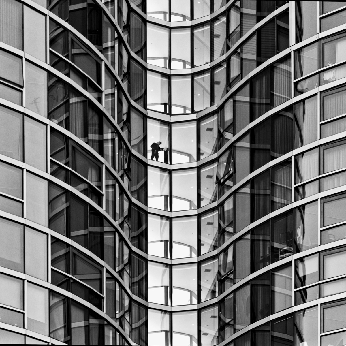 The Cleaner