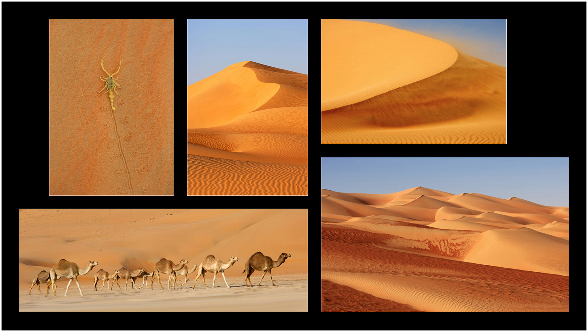 The Empty Quarter