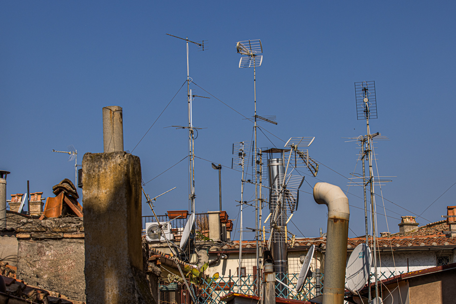 Rome Rooftop Chaos