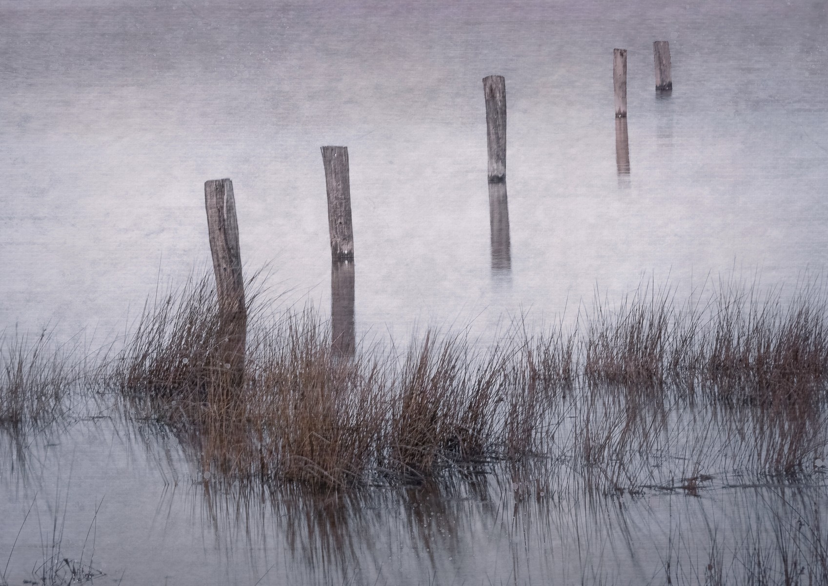 The Blue Hour