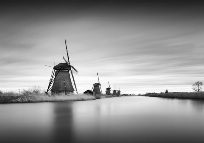 Uploaded Image